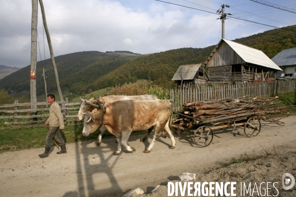 Roumanie/transylvanie