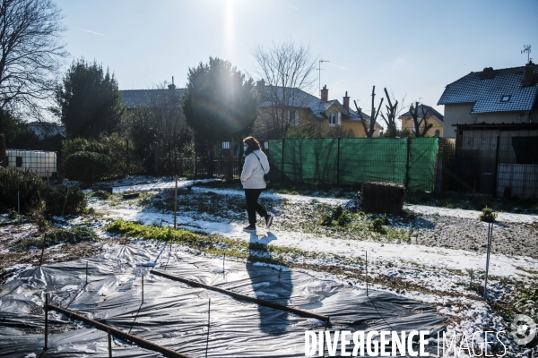 Visite des cités jardins de Stains