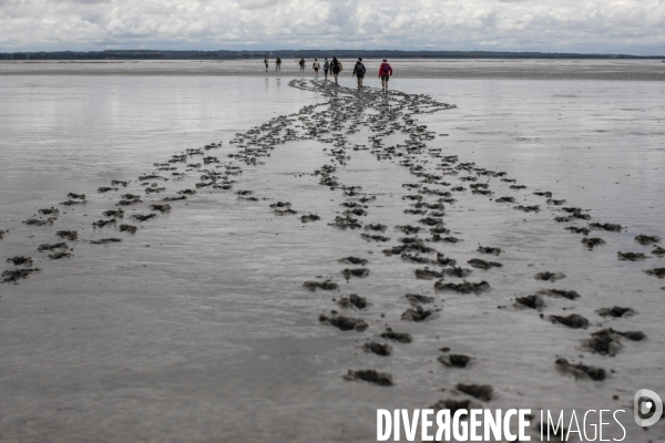 Pelerinage au mont saint michel