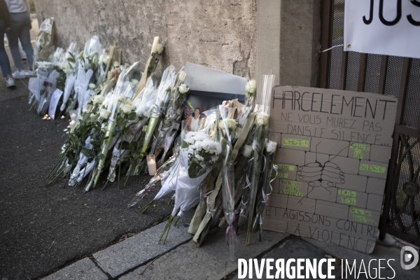 Marche blanche - Harcelement scolaire - Dinah