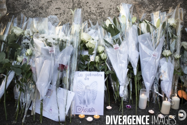 Marche blanche à Mulhouse en mémoire à Dinah