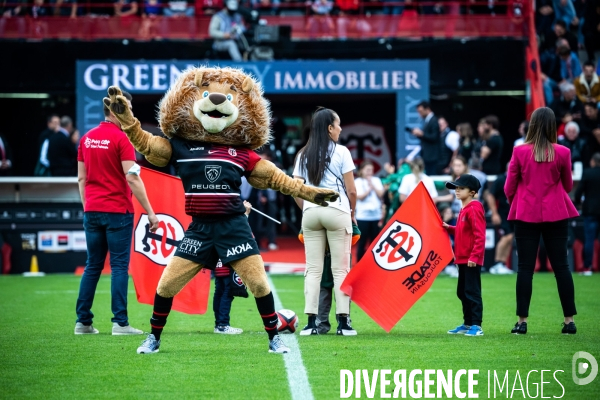 Rugby Stade Toulousain 2021-2022 PAU