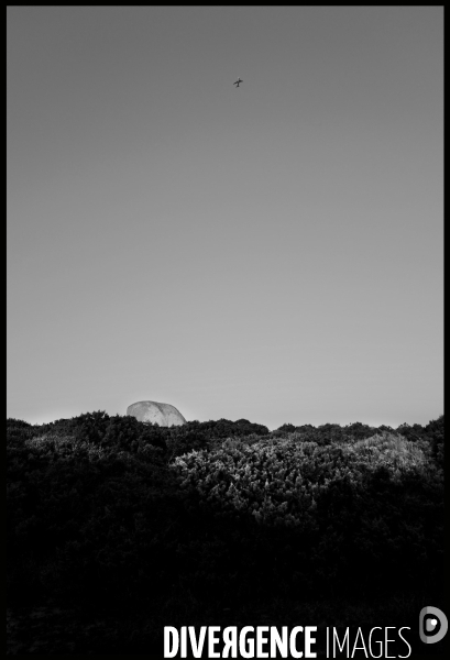 Paysage en corse du sud