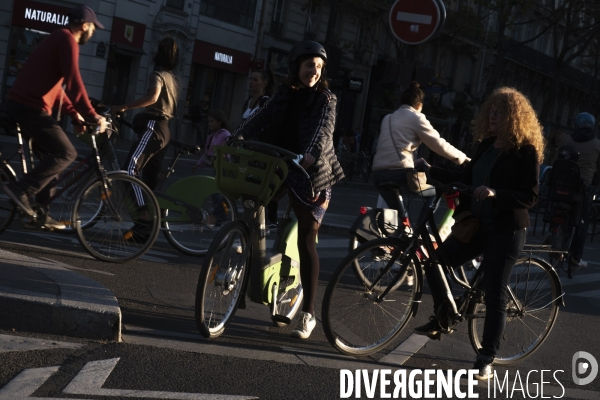 Vélos à gogo