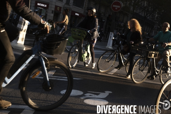 Vélos à gogo