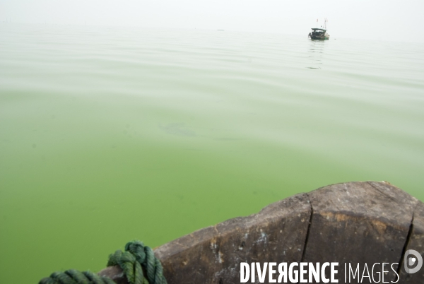 Le lac Cao, un exemple de pollution industrielle en Chine