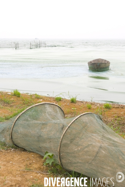 Le lac Cao, un exemple de pollution industrielle en Chine