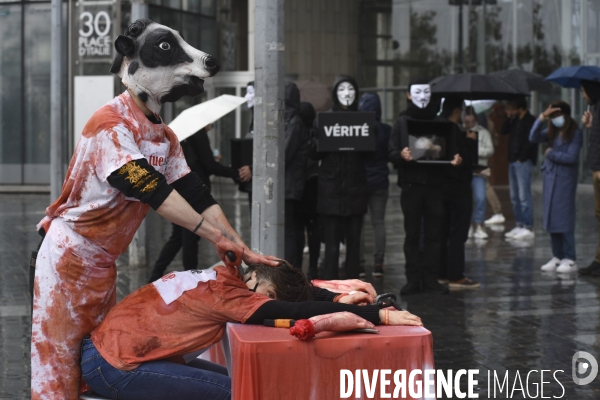 Protection animale. Happening pour dénoncer la souffrance cachée derrière chaque produit d origine animale. Organisée par 269 Life France et Anonymous for the Voiceless. Animal protection.