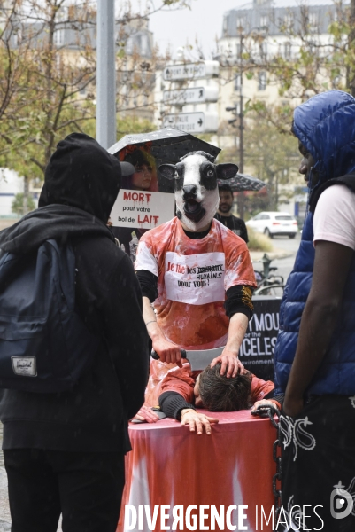 Protection animale. Happening pour dénoncer la souffrance cachée derrière chaque produit d origine animale. Organisée par 269 Life France et Anonymous for the Voiceless. Animal protection.
