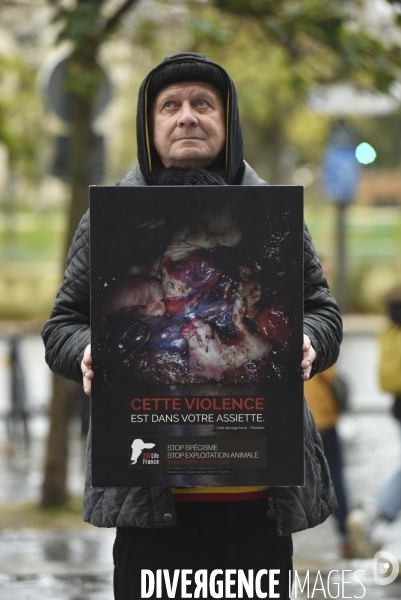 Protection animale. Happening pour dénoncer la souffrance cachée derrière chaque produit d origine animale. Organisée par 269 Life France et Anonymous for the Voiceless. Animal protection.