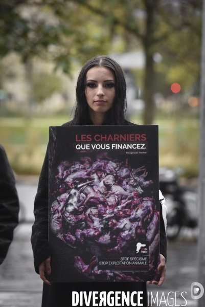 Protection animale. Happening pour dénoncer la souffrance cachée derrière chaque produit d origine animale. Organisée par 269 Life France et Anonymous for the Voiceless. Animal protection.