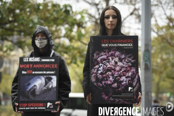 Protection animale. Happening pour dénoncer la souffrance cachée derrière chaque produit d origine animale. Organisée par 269 Life France et Anonymous for the Voiceless. Animal protection.