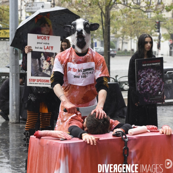 Protection animale. Happening pour dénoncer la souffrance cachée derrière chaque produit d origine animale. Organisée par 269 Life France et Anonymous for the Voiceless. Animal protection.