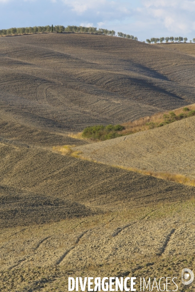 Toscane/italie