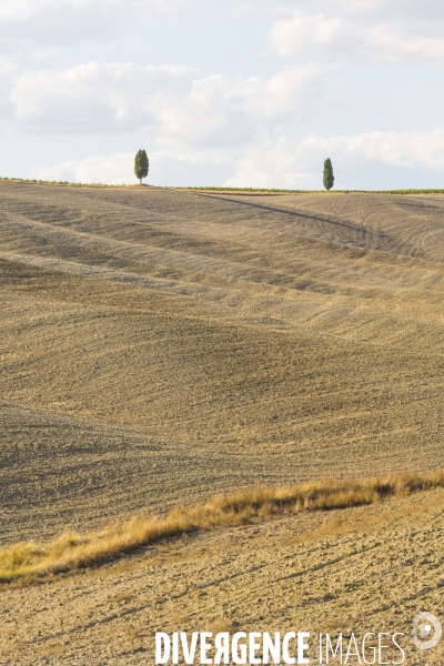 Toscane/italie