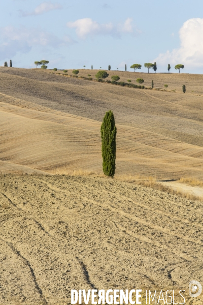 Toscane/italie