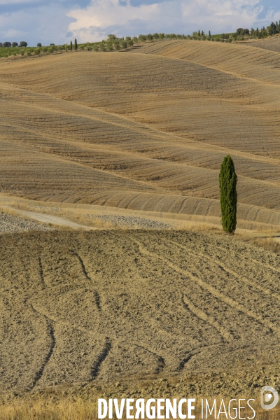 Toscane/italie