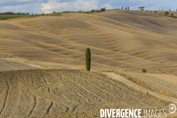 Toscane/italie