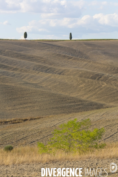 Toscane/italie