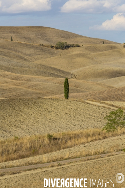 Toscane/italie