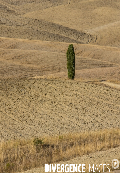 Toscane/italie