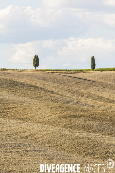 Toscane/italie