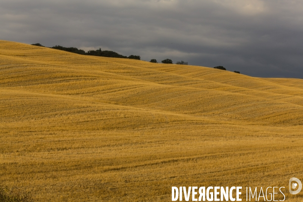 Toscane/italie