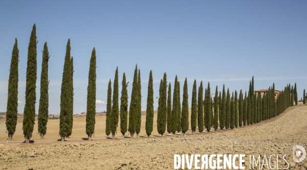 Toscane/italie