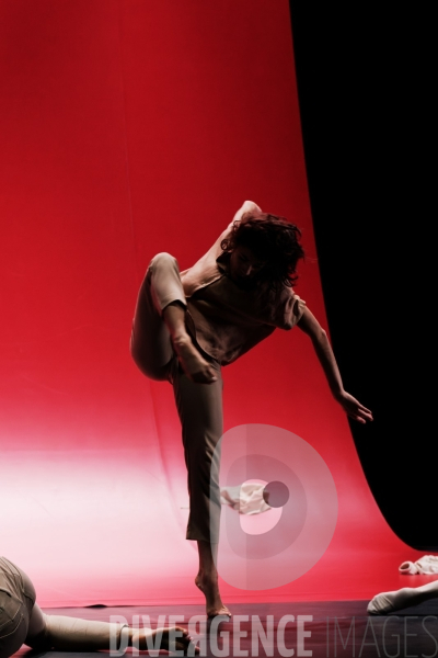 Sheela Na Gig / Fabrice Mazliah  / Ballet de l Opéra de Lyon