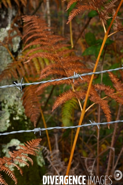 La Sologne engrillagée