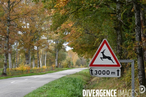 La Sologne engrillagée