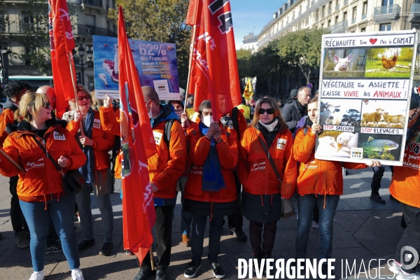 COP 26 manifestation pour le climat a paris