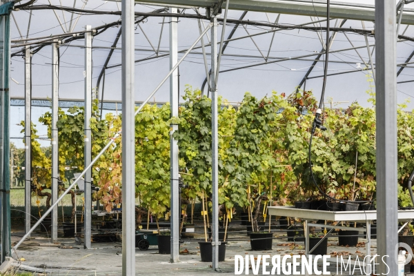 Institut des Sciences de la Vigne et du Vin de Bordeaux (ISVV)