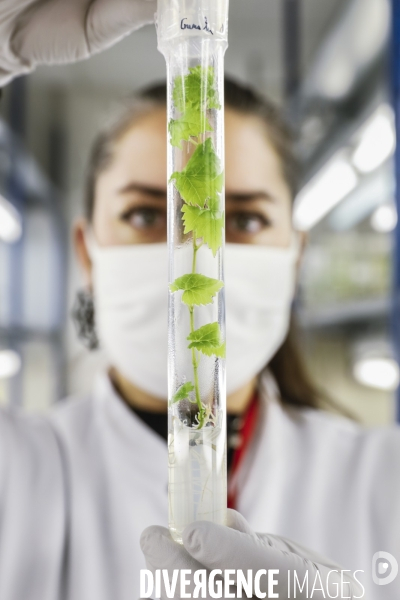 Institut des Sciences de la Vigne et du Vin de Bordeaux (ISVV)