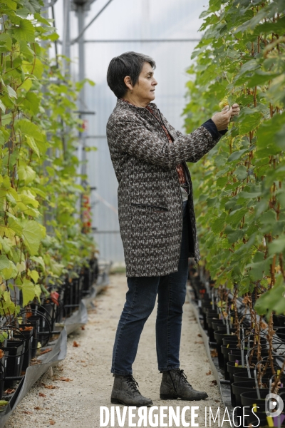 Institut des Sciences de la Vigne et du Vin de Bordeaux (ISVV)