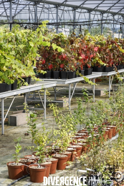 Institut des Sciences de la Vigne et du Vin de Bordeaux (ISVV)