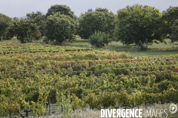 Institut des Sciences de la Vigne et du Vin de Bordeaux (ISVV)