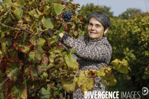 Institut des Sciences de la Vigne et du Vin de Bordeaux (ISVV)