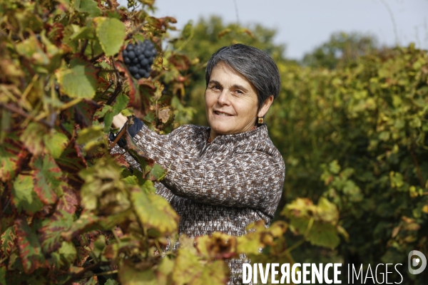 Institut des Sciences de la Vigne et du Vin de Bordeaux (ISVV)