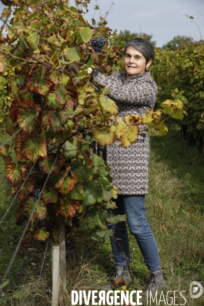 Institut des Sciences de la Vigne et du Vin de Bordeaux (ISVV)