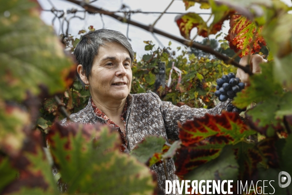 Institut des Sciences de la Vigne et du Vin de Bordeaux (ISVV)