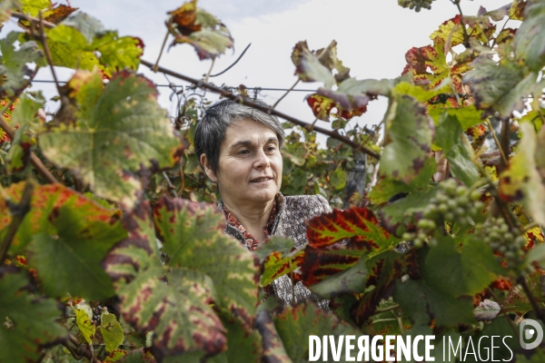 Institut des Sciences de la Vigne et du Vin de Bordeaux (ISVV)