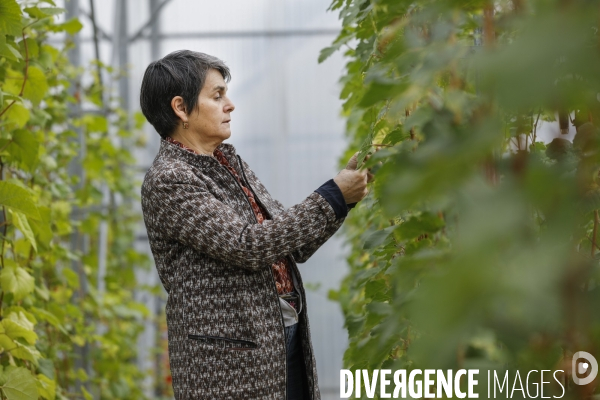 Institut des Sciences de la Vigne et du Vin de Bordeaux (ISVV)