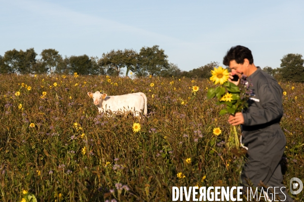 Agriculture de conservation des sols