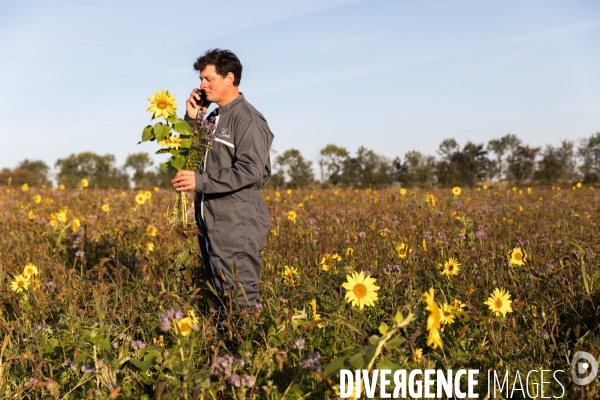 Agriculture de conservation des sols