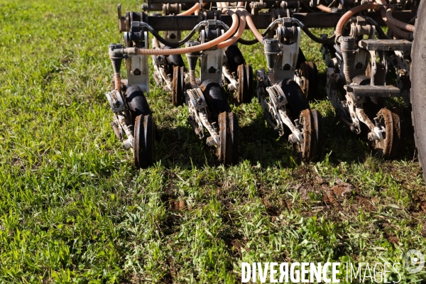 Agriculture de conservation des sols