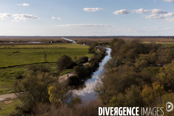 La Mare aux Oiseaux