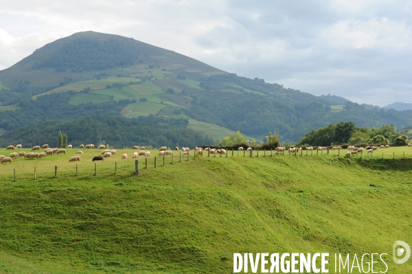 Paysages Basque