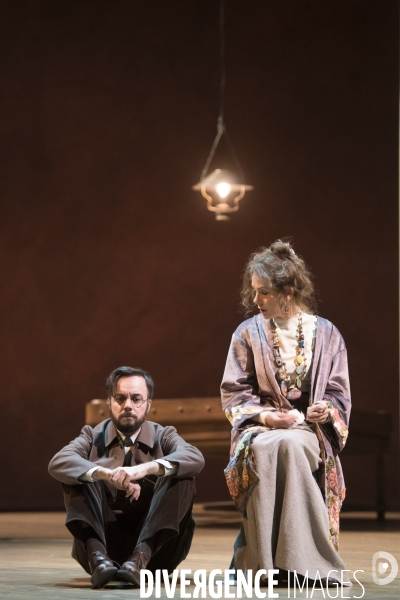 La Cerisaie - Tchekhov - Hervieu-Leger - Comedie-Francaise