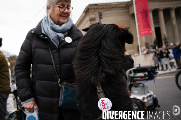 Manifestation contre la loi Covid et le passe sanitaire